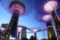 Light show at Marina Bay Garden, Singapore.