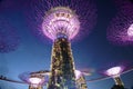 Light show at Marina Bay Garden, Singapore