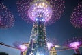 Light show at Marina Bay Garden, Singapore