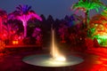 Light show in a night park in Bad Pyrmont Royalty Free Stock Photo