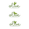 light and simple olive oil logo with doodle lettering composition