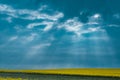 Light sky sunlight sunbeam field nature rays background blue landscape cloud Royalty Free Stock Photo