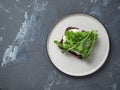 Light snack, sandwich with curd cheese and fresh arugula on a small plate on a gray background