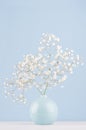 Light soft elegant home decor with small airy flowers in glossy pastel blue vase on wood table and blue wall, vertical.