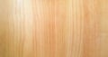 Light soft wood surface as background, wood texture. Grunge washed wood planks table pattern top view. Royalty Free Stock Photo