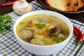 Light soup with dried mushrooms, meatballs and maccheroni in a white bowl. Royalty Free Stock Photo