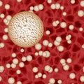 Light spheres of bacteria or virus spheres in blood