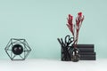 Light spring school workplace with black stationery, books, red branch in glass vase, decorative model atom on green mint menthe. Royalty Free Stock Photo