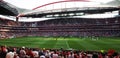 Benfica Soccer Stadium Panorama, Football Fans, Europe