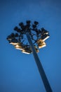 Light stadium or Sports lighting at night, evening Royalty Free Stock Photo