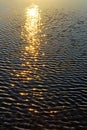 Light stars on the surface of Pacific ocean at San Diego