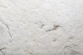 Light stone background with microcracks Royalty Free Stock Photo