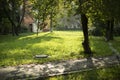 Light on the street. Green lawn near the house. Path in the yard