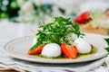 Light summer fresh salad. Buffalo mozzarella with strawberries, pesto, arugula and lettuce Royalty Free Stock Photo