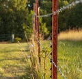 Rusted Barb Wire Fence Royalty Free Stock Photo