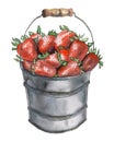 Light summer watercolor hand-drawn illustration of a strawberry in a bucket.