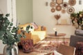 light and sunny interior of a living room defocused with eucalyptus branches in a vase on foreground. etno style boho