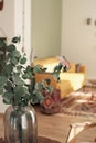 light and sunny interior of a living room defocused with eucalyptus branches in a vase on foreground. etno style boho