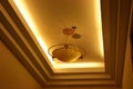 Light suspended from ceiling