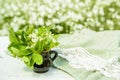 light tablecloth, with White flowers in garden. festive table setting. table setting details.Blurred bokeh background of greenery Royalty Free Stock Photo