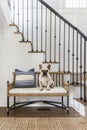 A light tan bulldog sits on an old rattan bench at the bottom of a white oak and black steel staircase, with no stairs Royalty Free Stock Photo