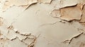 Light taupe Venetian plaster is used to create a decorative wall background Royalty Free Stock Photo