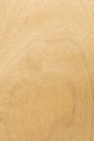 Light texture of birch plywood, close-up abstract background Royalty Free Stock Photo