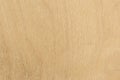 Light texture of birch plywood, close-up abstract background Royalty Free Stock Photo