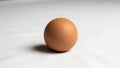 The light texture of the egg is visible creating subtle shadows that add depth Royalty Free Stock Photo