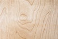 Texture of natural birch plywood, the surface of the lumber is untreated, a lot of fiber and small chips Royalty Free Stock Photo