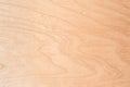 Texture of natural birch plywood, the surface of the lumber is untreated, a lot of fiber and small chips Royalty Free Stock Photo