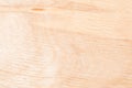 Texture of natural birch plywood, the surface of the lumber is untreated, a lot of fiber and small chips Royalty Free Stock Photo