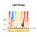 light therapy, Phototherapy or laser therapy. Depth of penetration by wave light Royalty Free Stock Photo