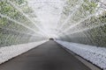 Light tunnel at Nabana no sato winter illumination, Japan Royalty Free Stock Photo