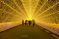 Light tunnel at Nabana no sato winter illumination, Japan Royalty Free Stock Photo