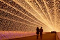 Light tunnel in winter illumination, Mie, Japan Royalty Free Stock Photo