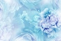 Light turquoise  peony  flowers  and petals peonies   Floral background.  Close-up. Royalty Free Stock Photo