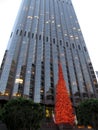 Light up Christmas Tree in front of Skyscraper