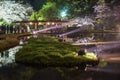 Light up of going to see cherry blossoms at night Sankei Garden