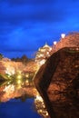 Light up of Hirosaki castle and cherry blossoms