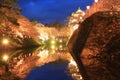 Light up of Hirosaki castle and cherry blossoms