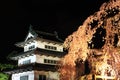 Light up of Hirosaki castle and cherry blossoms