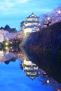 Light up of Hirosaki castle and cherry blossoms