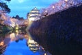 Light up of Hirosaki castle and cherry blossoms Royalty Free Stock Photo