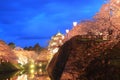 Light up of Hirosaki castle and cherry blossoms