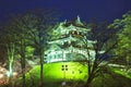 Light up of Takada Castle and Cherry blossoms Royalty Free Stock Photo