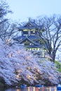 Light up of Takada Castle and Cherry blossoms Royalty Free Stock Photo