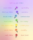 Light up your chakra. Rainbow lightbulbs with chakra\'s names and meanings. Vector illustration