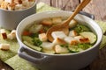 Light vegetable broth with croutons and thyme close-up in a saucepan. horizontal