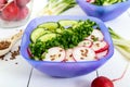 A light vitamin spring - summer salad with fresh cucumbers, radish and green onions Royalty Free Stock Photo